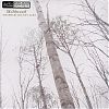 Chatham County Line - Wildwood (Yep Roc) 