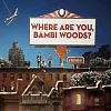 A Balladeer - Where Are You Bambi Woods? (Zip) 