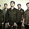 Street Dogs