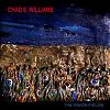 Chad E. Williams The Vision Fields Love Earth Music