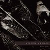 Atrium Animae Dies Irae