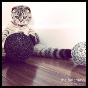 The Halamays - This Boring Party