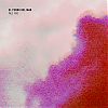 El Perro Del Mar - Pale Fire