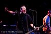 the Hold Steady